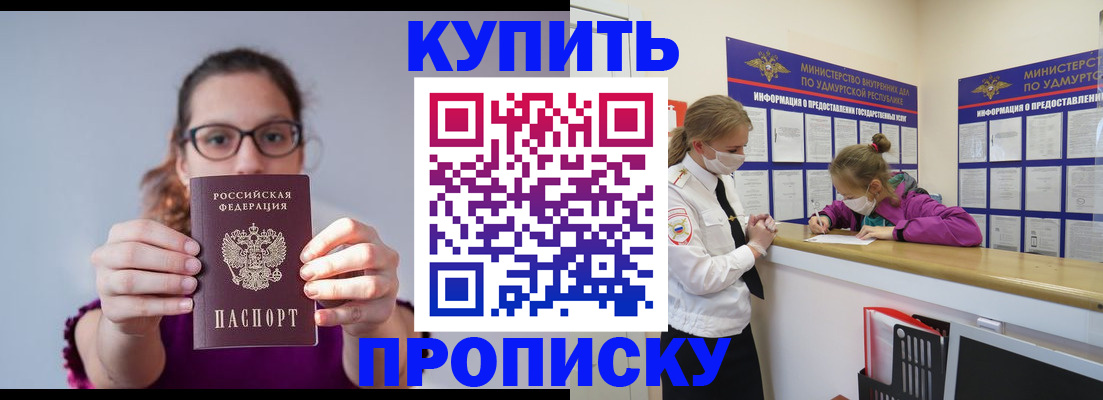 прописка 2025 в Кингисеппе